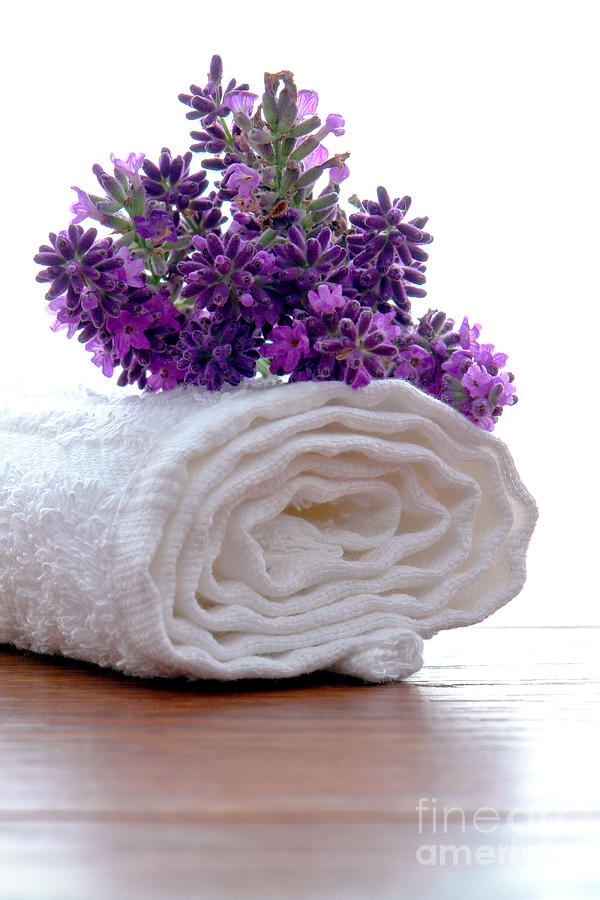 Lavender Flowers on a White Bath Towel in a Spa Photograph by Olivier Le Queinec