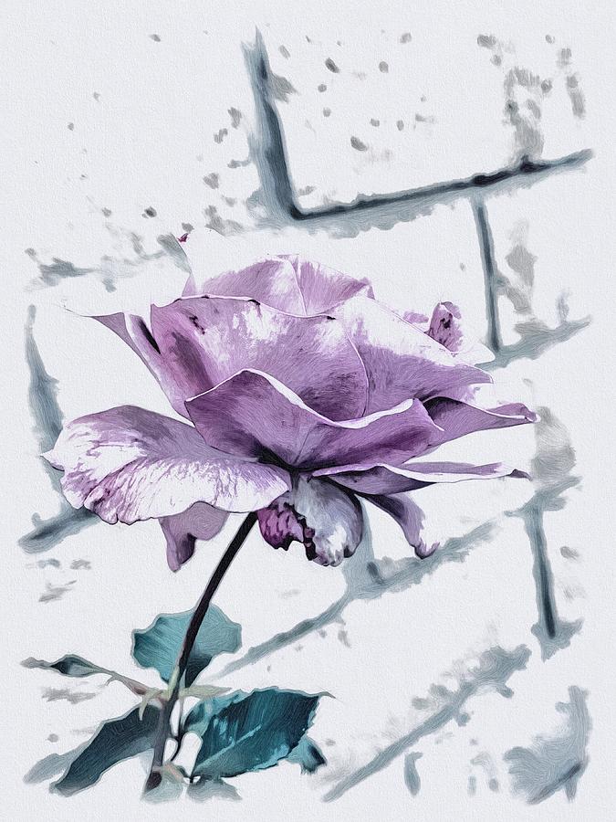 Lavender Rose #1 Digital Art by Kathleen Boyles