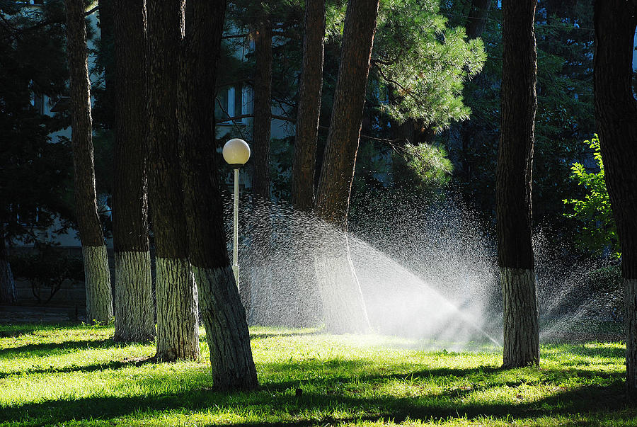 Lawn watering sprinkler #1 Photograph by Ygrek