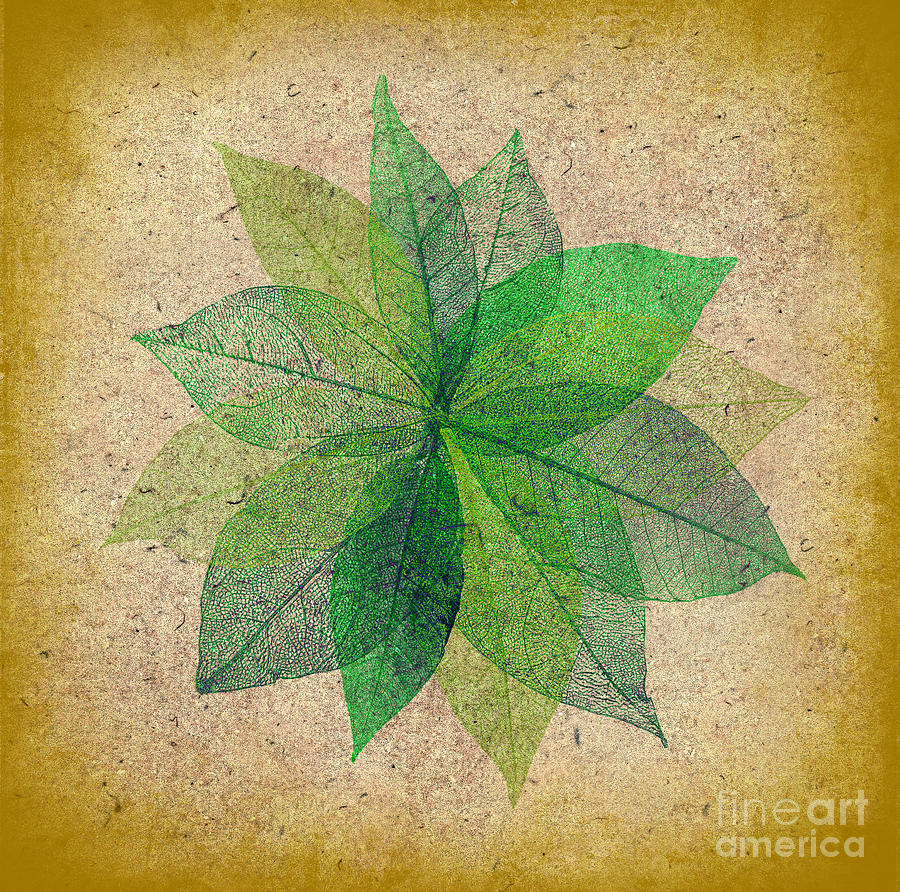 Leaf Print #1 Digital Art by Judi Bagwell