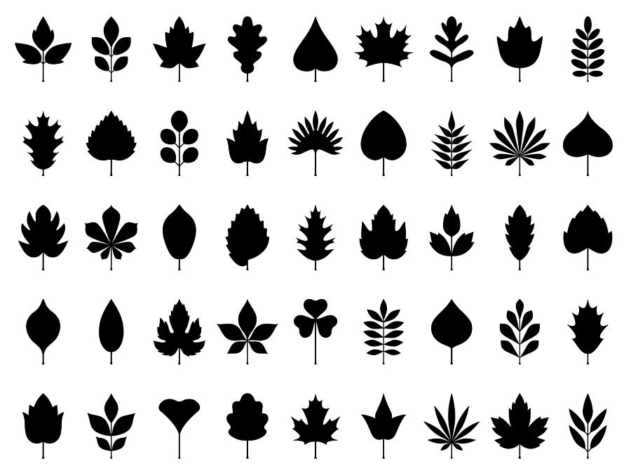 Leaves icon set #1 Drawing by Ulimi