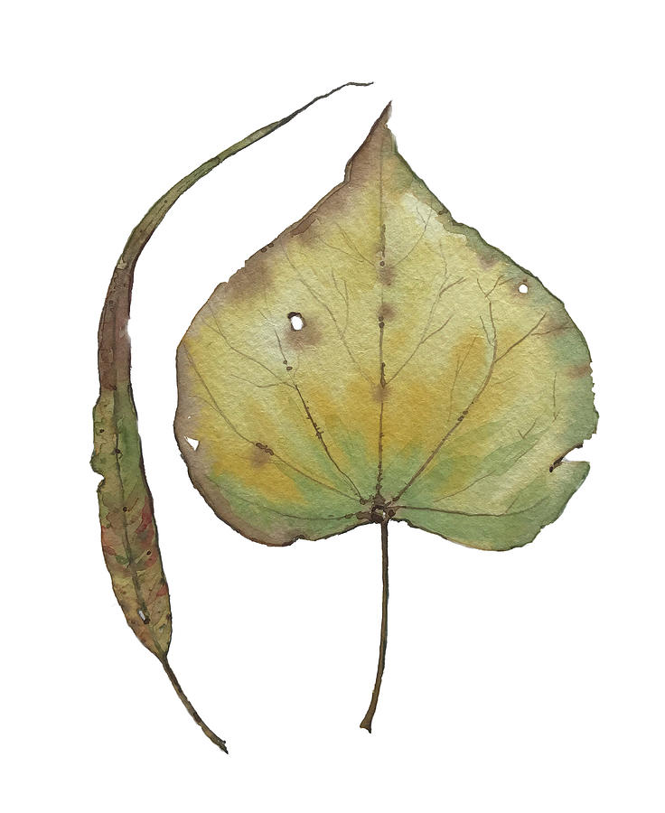 Leaves Painting - Leaves by Luisa Millicent