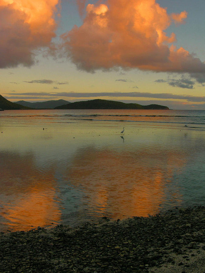 Sunset Photograph - Leinster Bay Dawn Reflections #1 by Stephen Vecchiotti