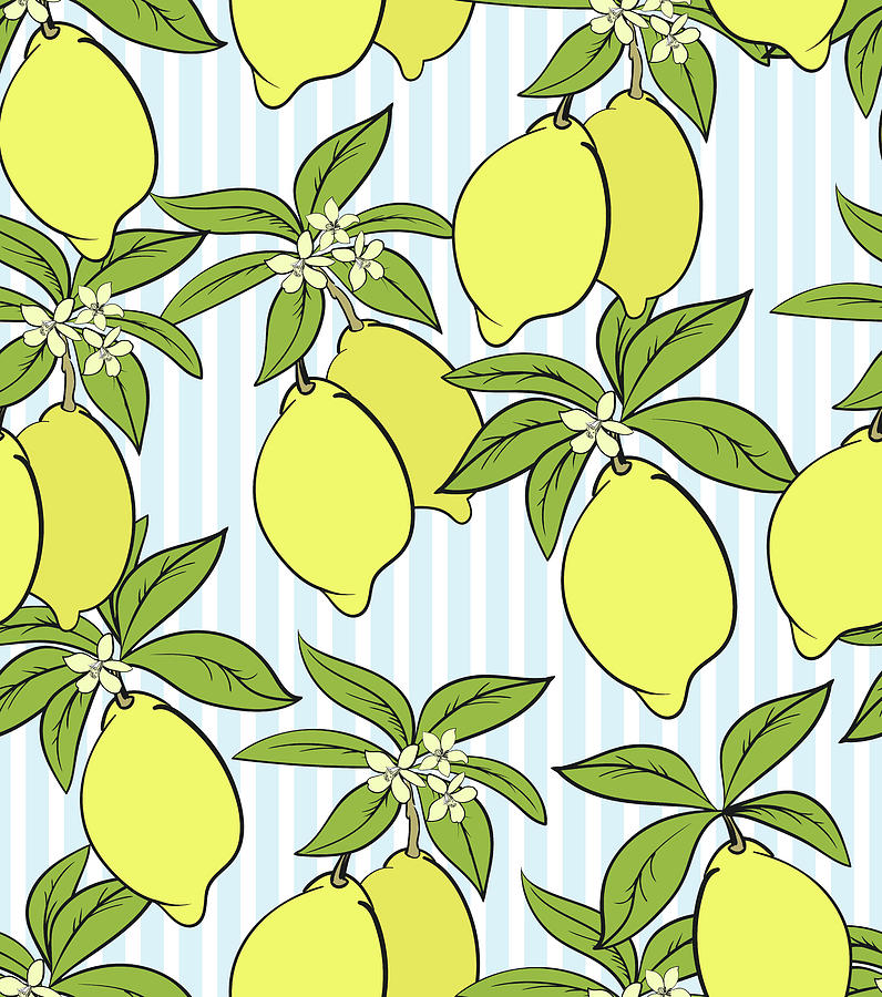 Lemon Citrus Pattern. Botanical Illustration. Summer Background. Floral Design. Drawing