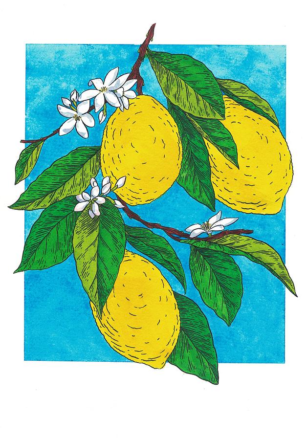 Lemons #1 Painting by Miranda Brouwer