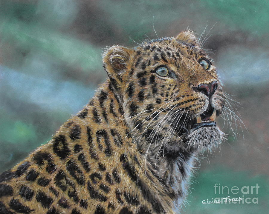 Leopard #2 Painting by Elaine Jones