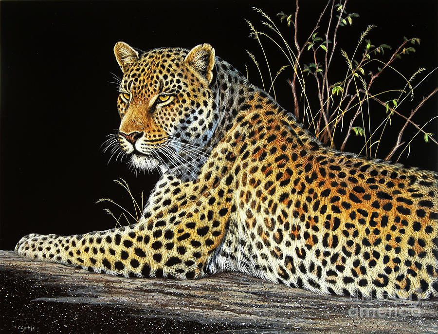 Leopard Scratch Board #1 Painting by Cynthie Fisher