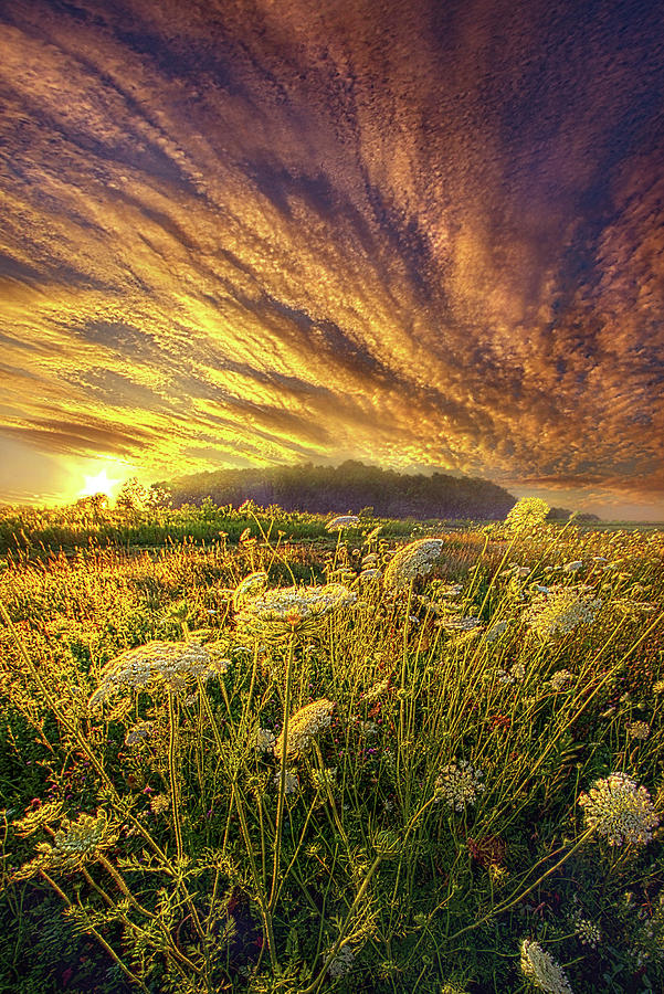 Let It Be #1 Photograph by Phil Koch