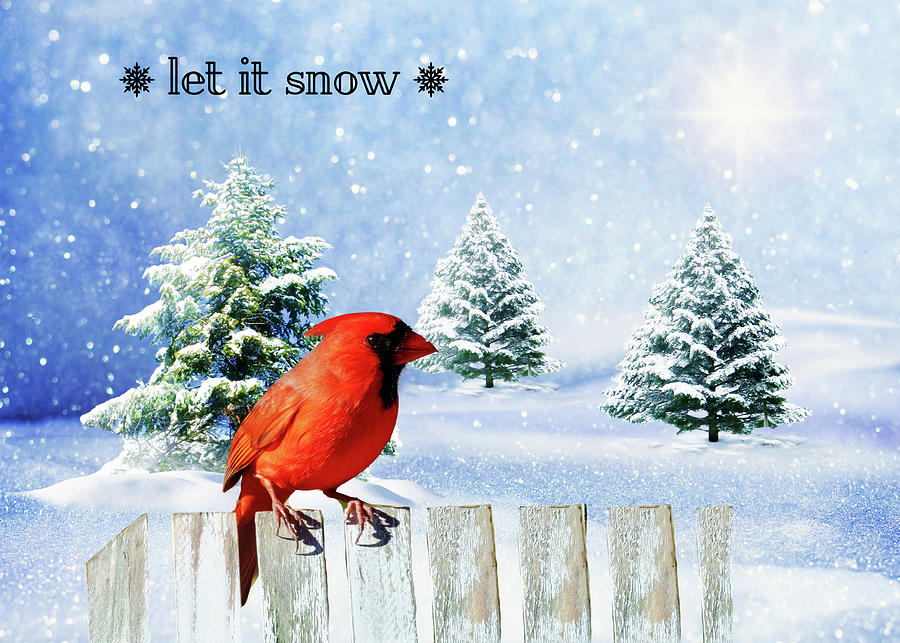 Let It Snow #1 Photograph by Cathy Kovarik