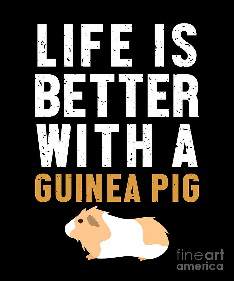 Life Better With Guinea Pig Long Hair Guinea Pigs Digital Art by ...