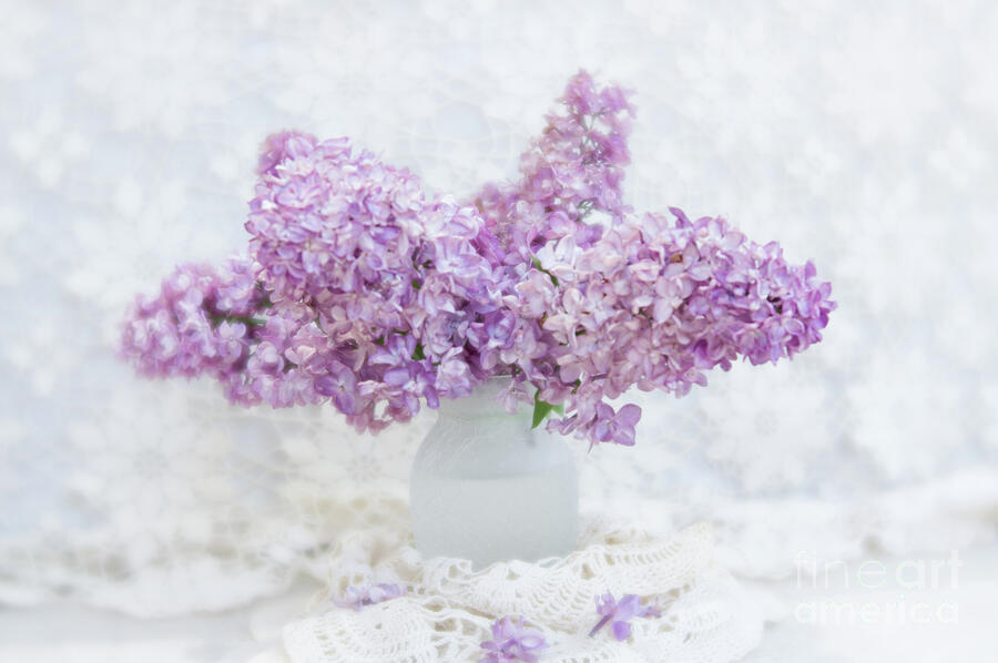 Lilacs in White Vase #1 Photograph by Marilyn Wilson