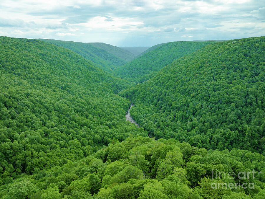 Lindy Point Overlook in Blackwater Falls State Park #1 Photograph by UA-Visions Lindy Point Overlook in Blackwater Falls State Park #1 Photograph by UA-Visions