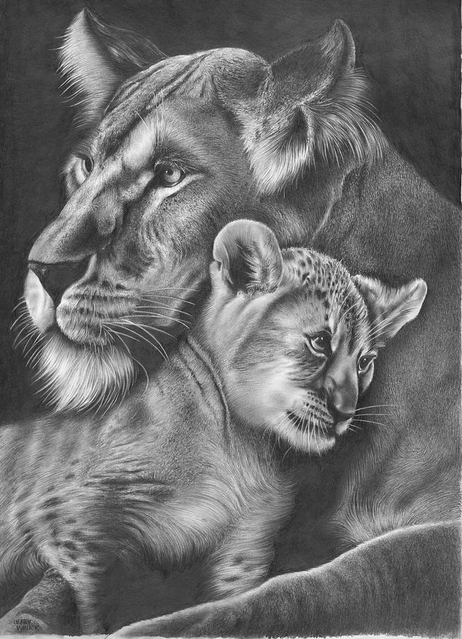 Lion and Cub #1 Drawing by Jerry Winick