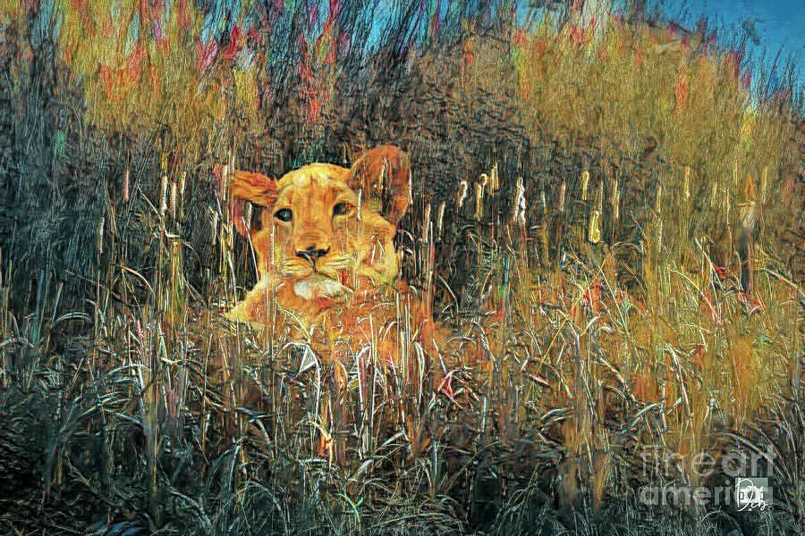 Lion in the Grass #1 Digital Art by Deb Nakano