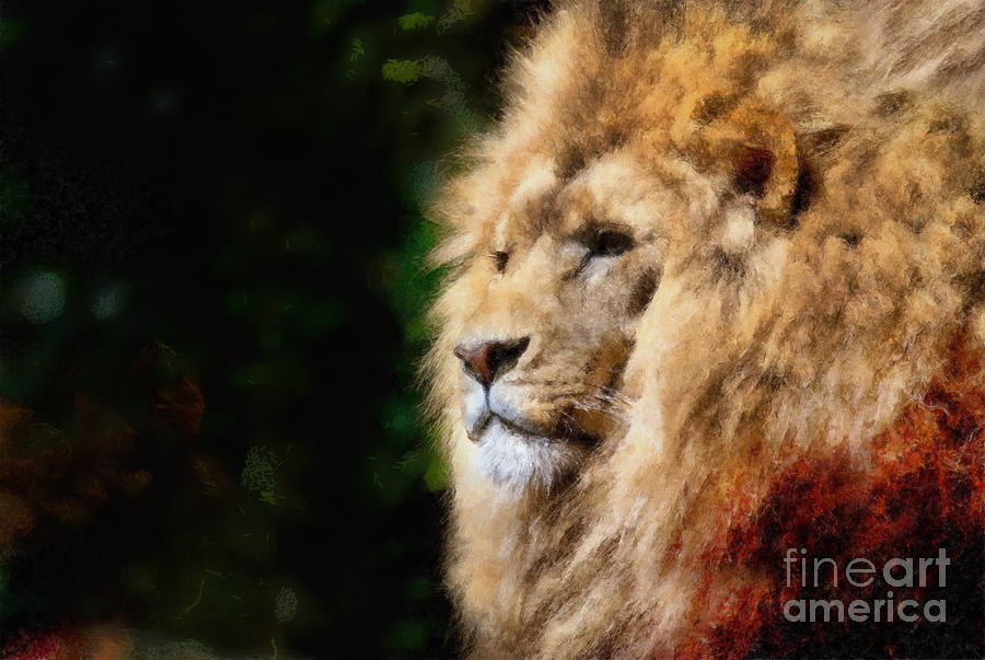 Lion #2 Digital Art by Jerzy Czyz