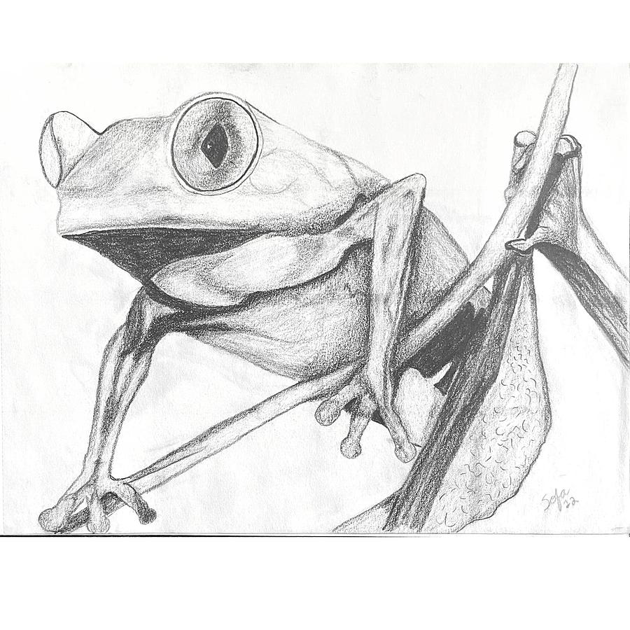 Frog Hangin Around - Karu Design - Drawings & Illustration, Animals, Birds,  & Fish, Aquatic Life, Other Aquatic Life - ArtPal