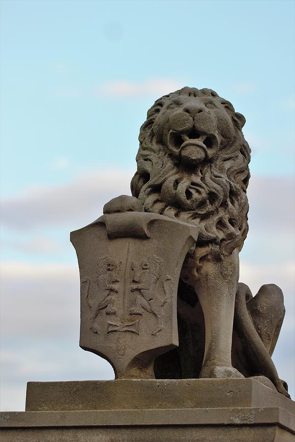 Baltimore Photograph - Lion Statue #1 by Joseph Skompski