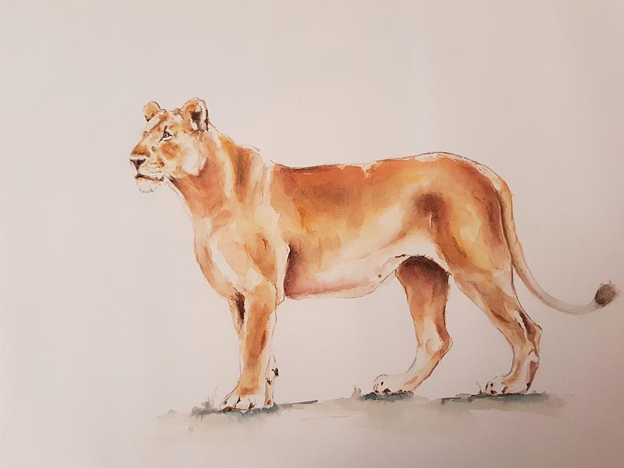 Lioness Painting by Ilona Petzer