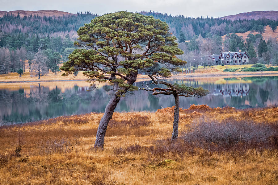 Loch Tulla Photograph