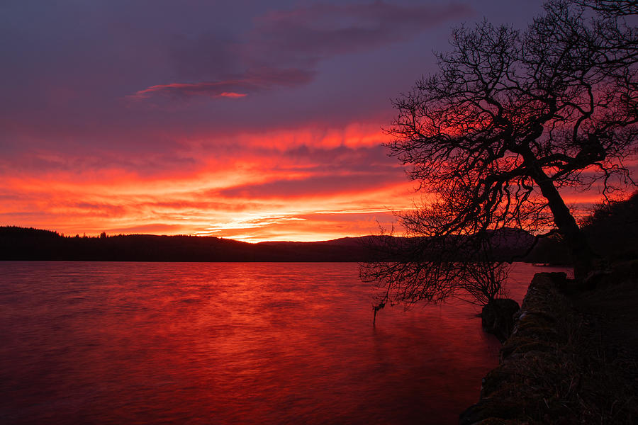 Lochside sunset #1 Photograph by Daniel Letford