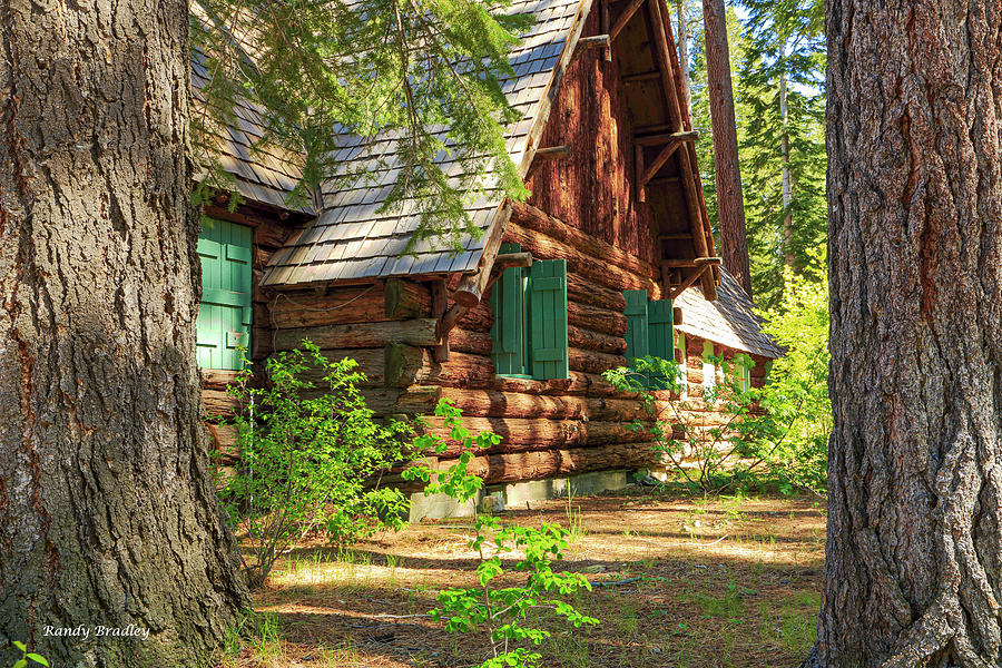 Log Cabin in the Woods  #1 Photograph by Randy Bradley