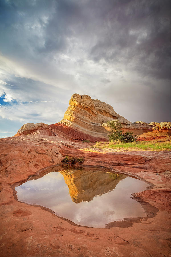 Arizona Photograph - Lollipop Reflection by Johnny Adolphson Arizona Photograph - Lollipop Reflection by Johnny Adolphson