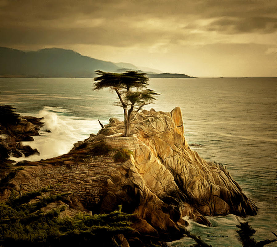Lone Cypress Detail 2 #1 Photograph by Barbara Snyder