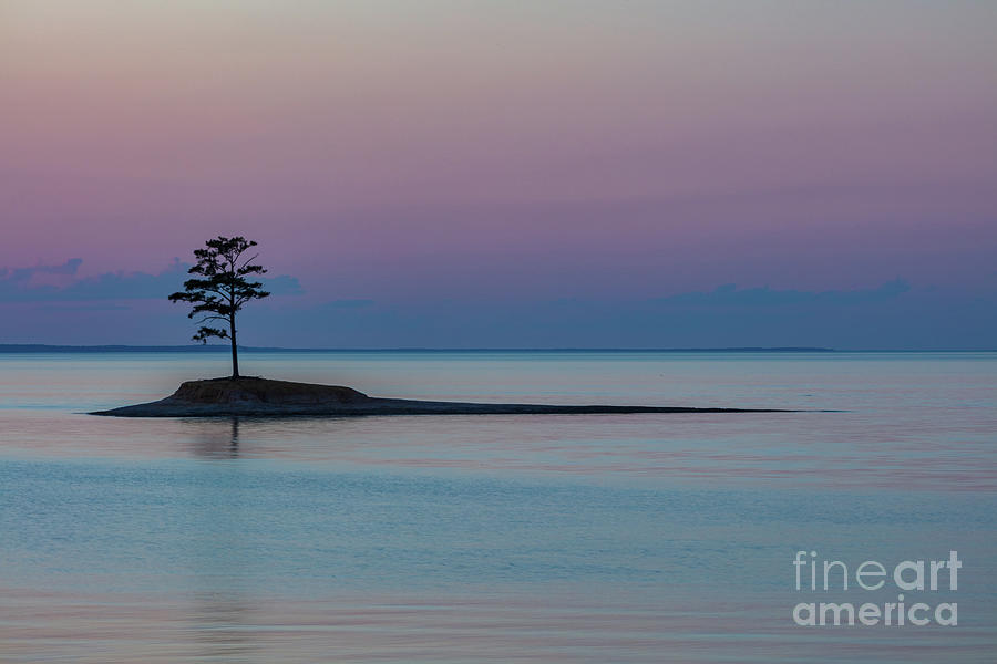 Lone Pine Island Photograph by Seth Betterly