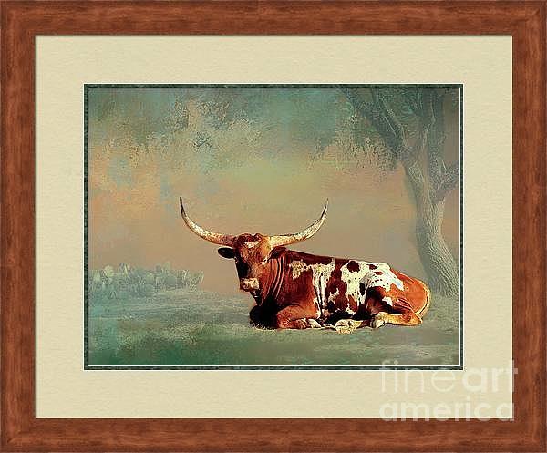 Longhorn Lying Down Digital Art by Linda Cox - Fine Art America