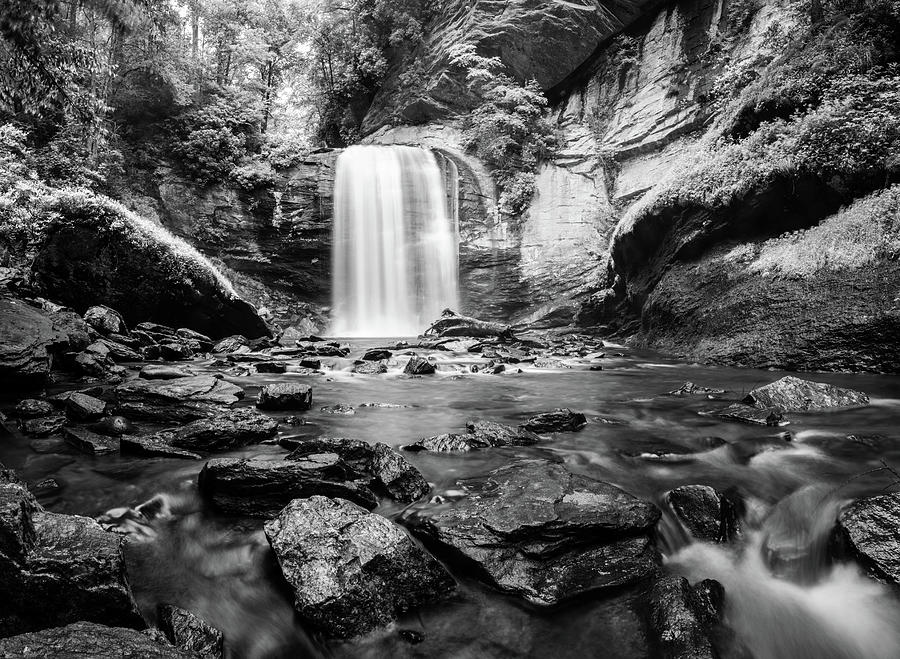 Looking Glass Falls BW Photograph by Alexey Stiop