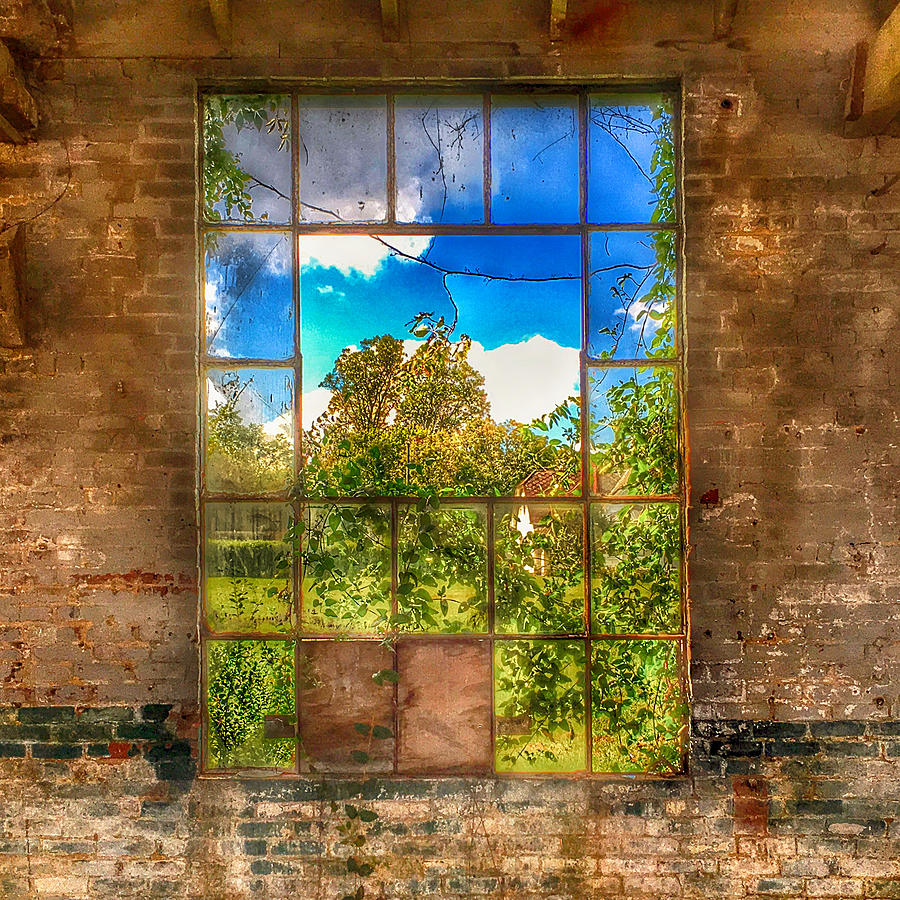 Looking out of Abandoned Building #1 Photograph by Anthony M Davis