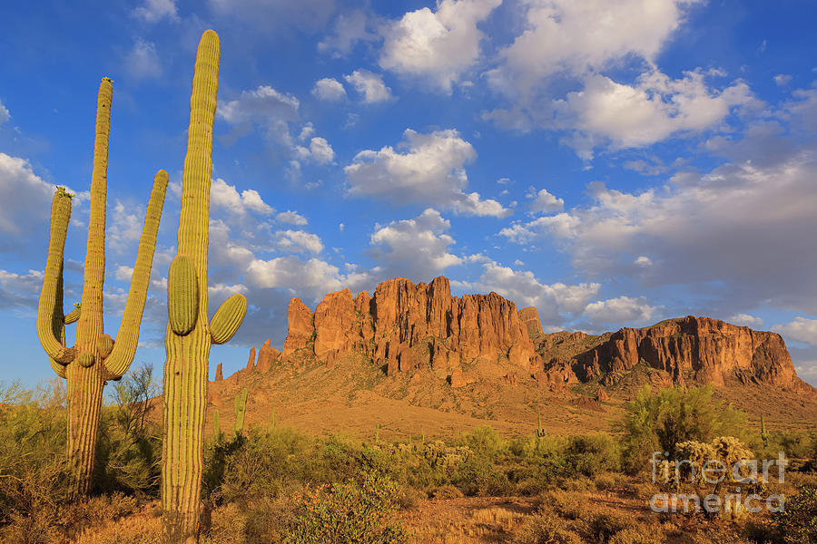 Lost Dutchman State Park, Arizona #1 Photograph by Henk Meijer Photography
