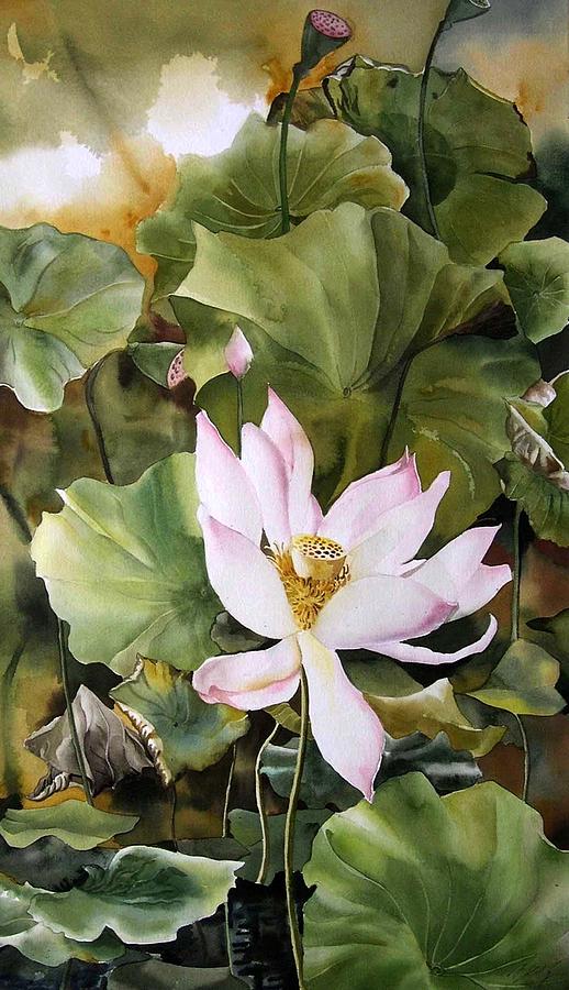 Lotus Blossom  Painting by Alfred Ng