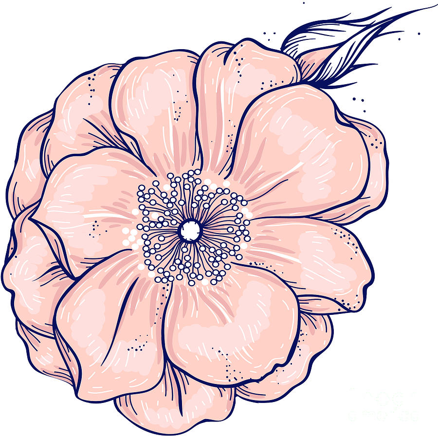 Flower Drawing - Love and joy flowers design #1 by Satyam Kumar