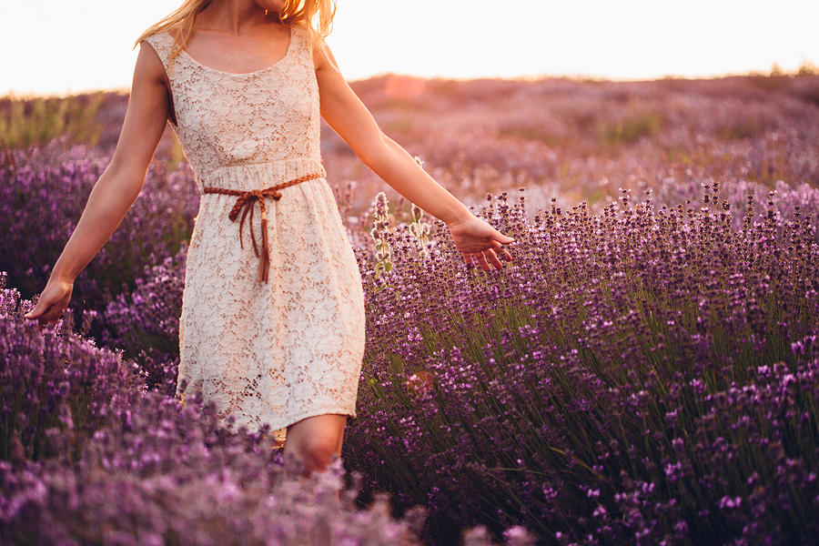 Lovely lavender field #1 Photograph by AleksandarNakic