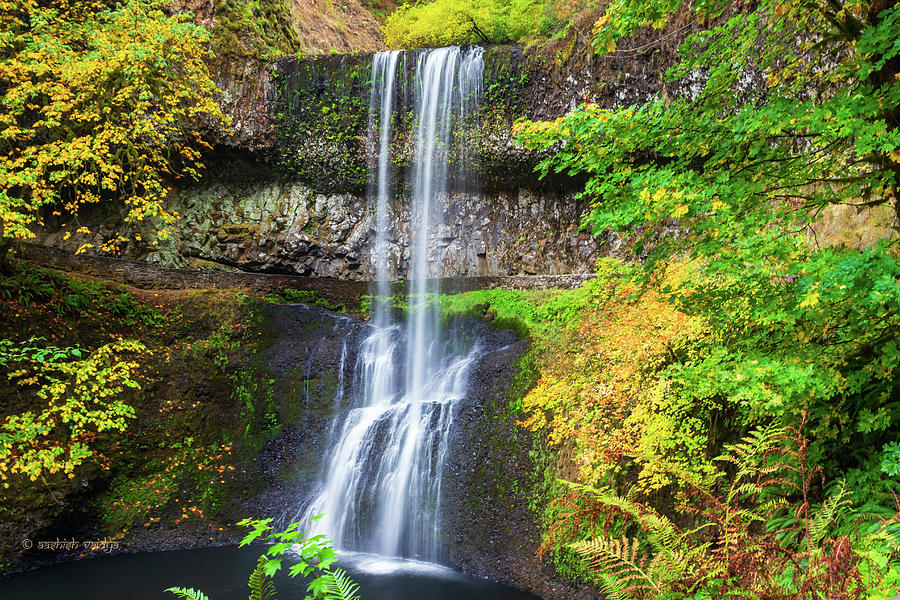 Lower South Falls, Oregon #2 Photograph by Aashish Vaidya