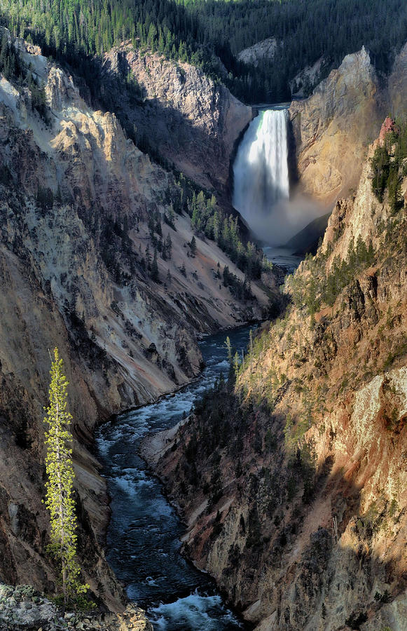 Lower Yellowstone Falls #1 Photograph by Stephen Vecchiotti