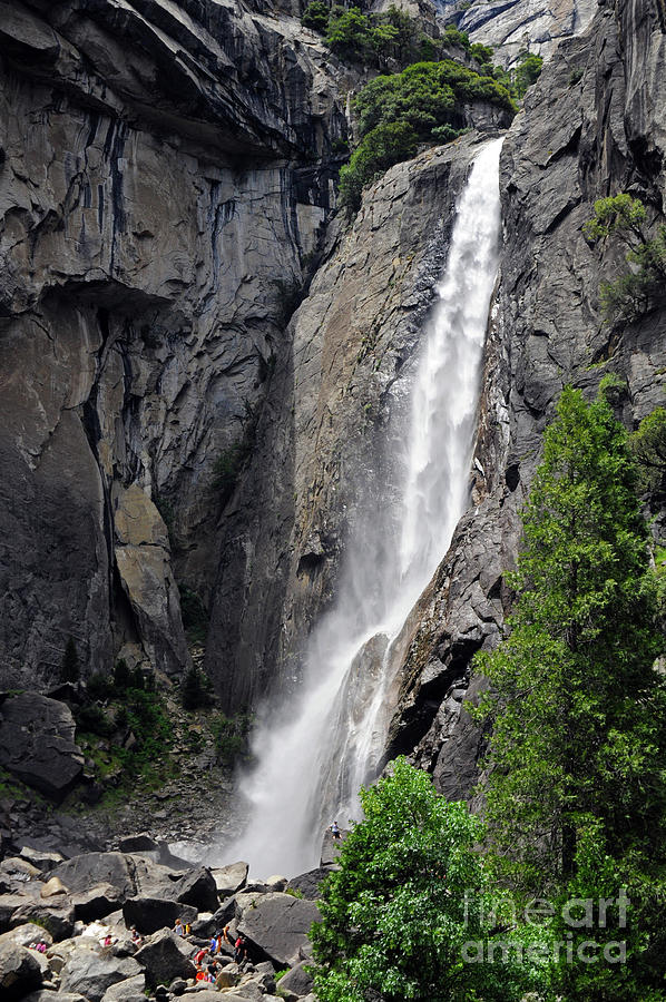 Lower Yosemite Falls #1 Photograph by Cindy Murphy