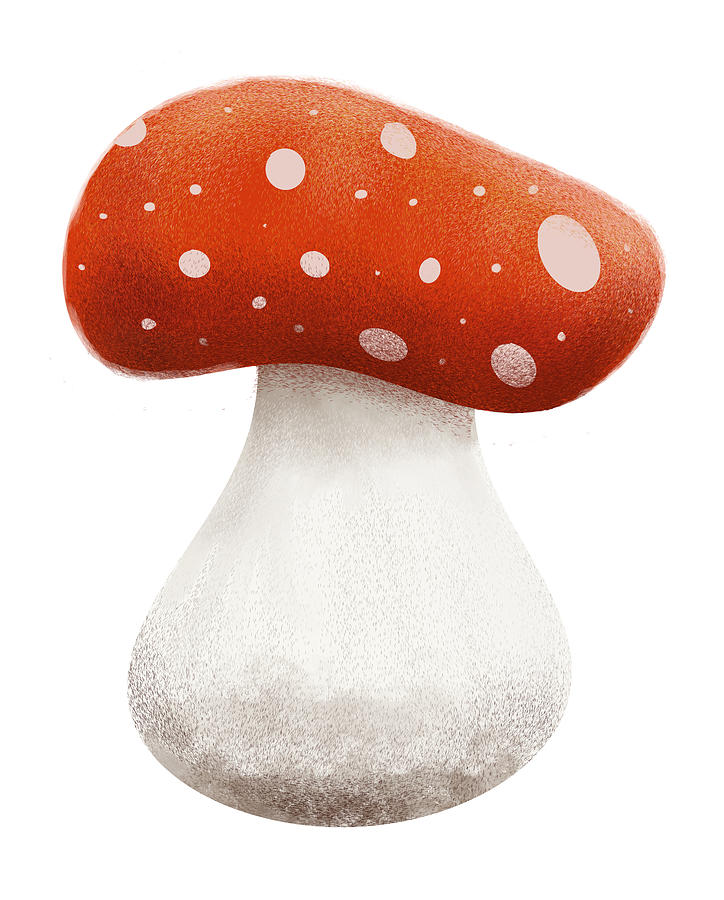 Lucky mushroom #1 Digital Art by Iris Richardson