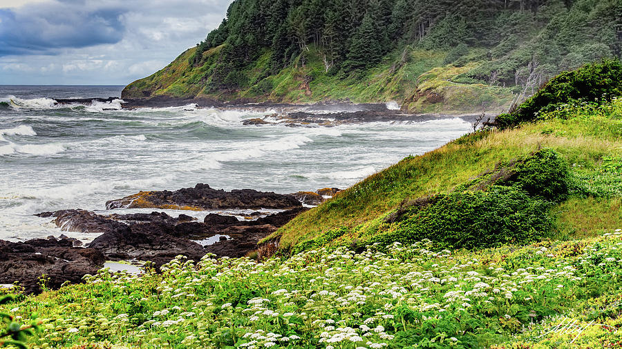 The Lush Oregon Coast Photograph by Meg Leaf