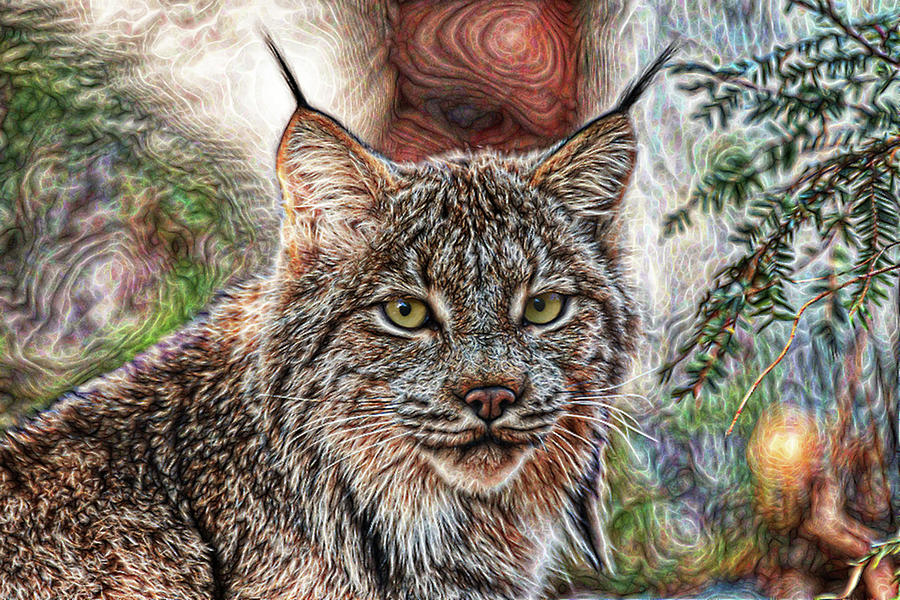 Lynx Digital Art by Pascaloup Art - Fine Art America