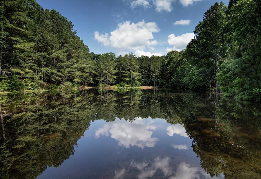 Mabry Park Photograph by Mark Chandler - Fine Art America