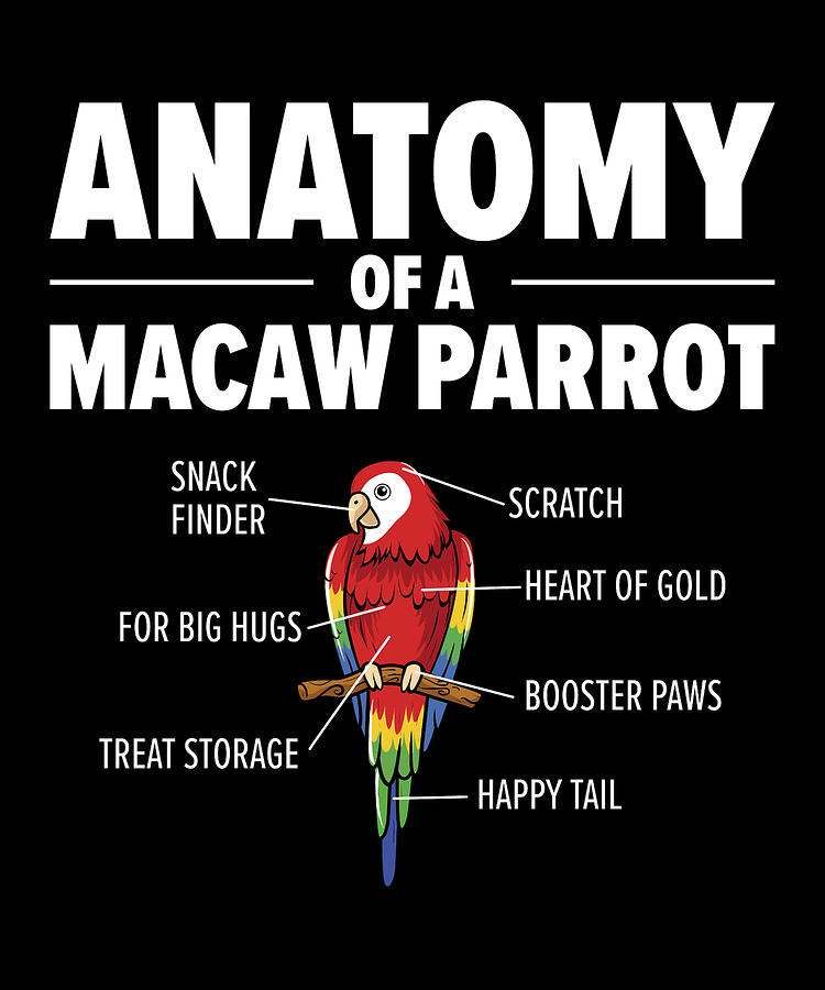 Macaw Anatomy Birdwatching Parrot Bird Lover Digital Art by Toms Tee ...