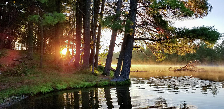 Madeline Lake Morning Sunrise #1 Photograph by Brook Burling