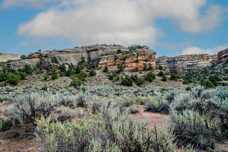 Landscape Photograph - Magnificent Rock Formations by Ric Schafer Landscape Photograph - Magnificent Rock Formations by Ric Schafer