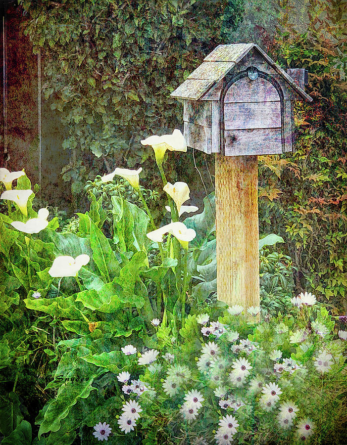 Mailbox in the Daisies #1 Photograph by Floyd Snyder