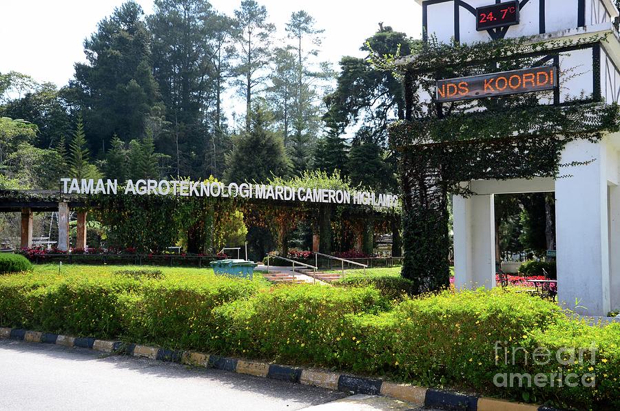 Main entrance to Agro Technology Park MARDI Tanah Rata Cameron Highalnds Malaysia #2 Photograph by Imran Ahmed