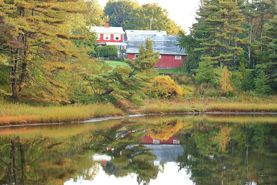 Maine Morning Photograph