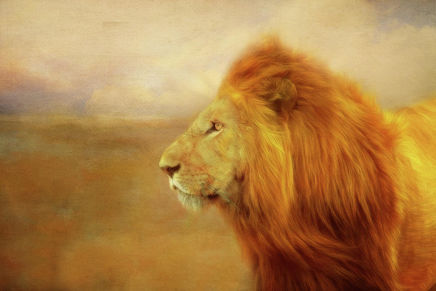 Lion King Digital Art by Terry Davis - Fine Art America