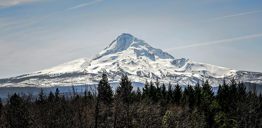 Majestic Mt. Hood In Oregon Photograph